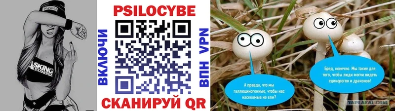 Псилоцибиновые грибы ЛСД цены наркотик Дмитров
